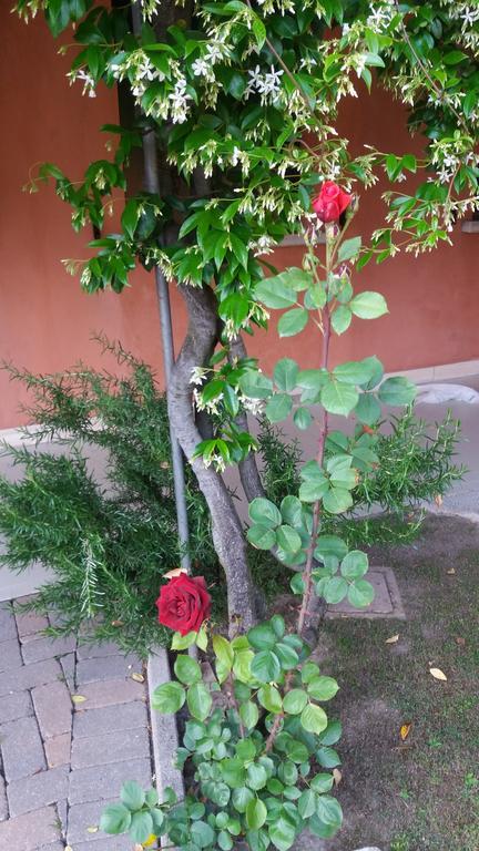 Dreon B&B Portogruaro Εξωτερικό φωτογραφία