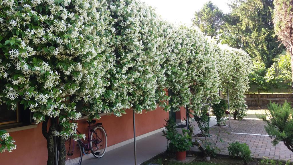 Dreon B&B Portogruaro Εξωτερικό φωτογραφία