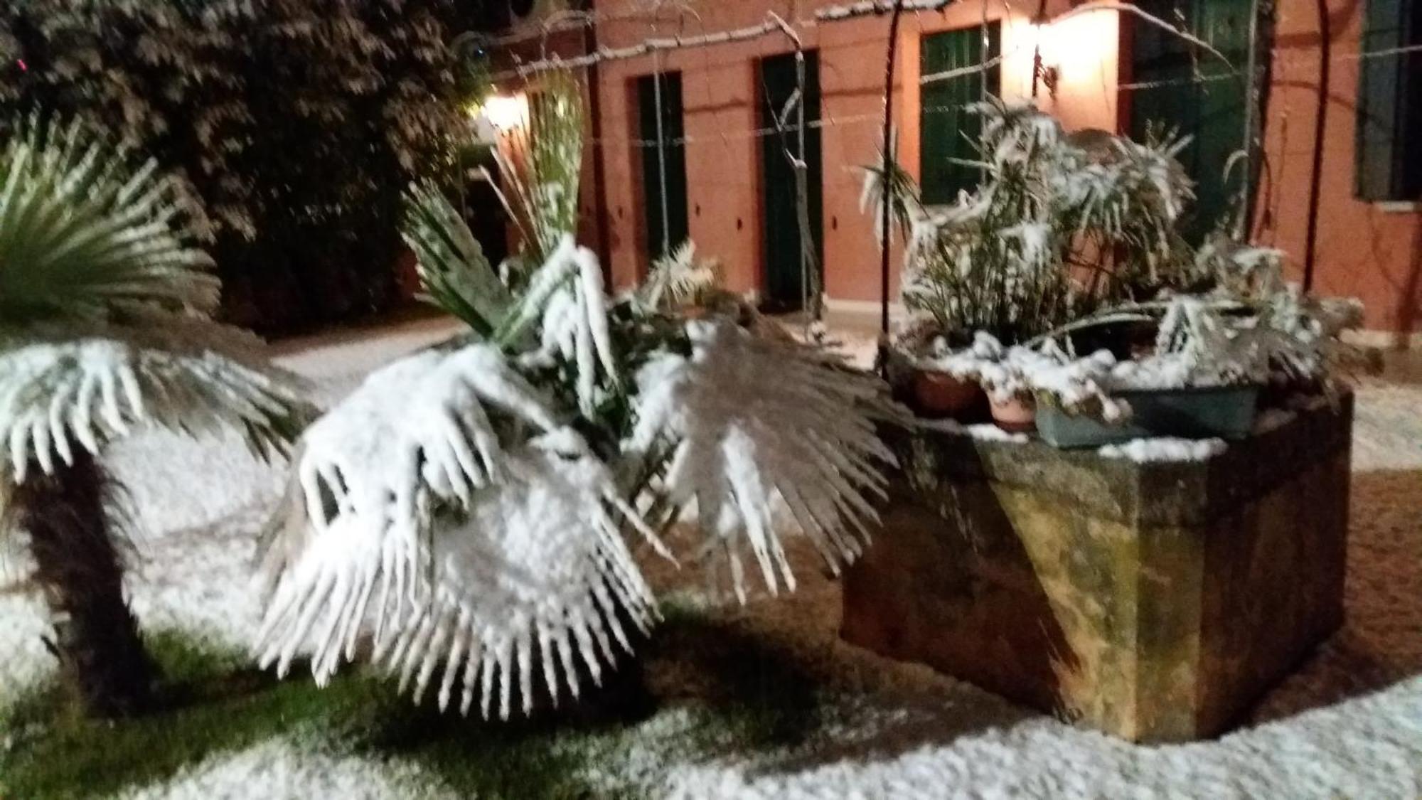 Dreon B&B Portogruaro Εξωτερικό φωτογραφία